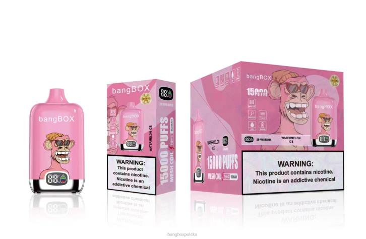 Bang Box Cena - Bang Box 15 000 zaciągnięć 4X6J45 lód arbuzowy